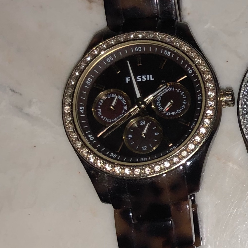 Tortoise fossil watch